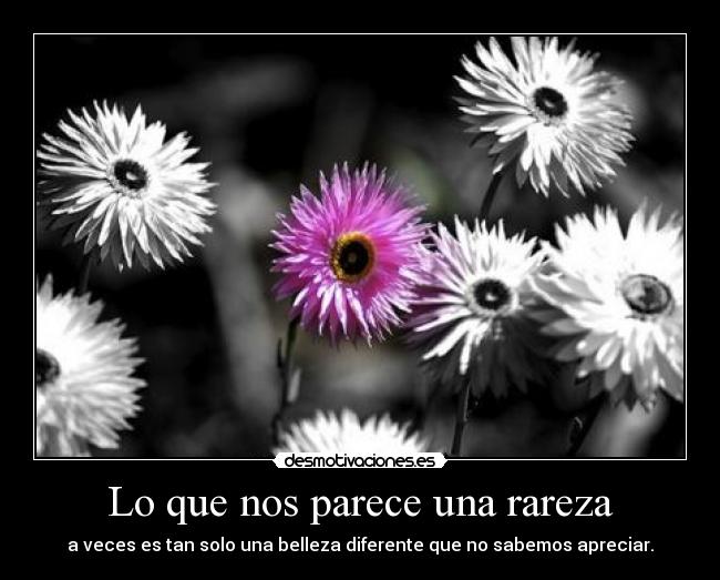 Lo que nos parece una rareza -