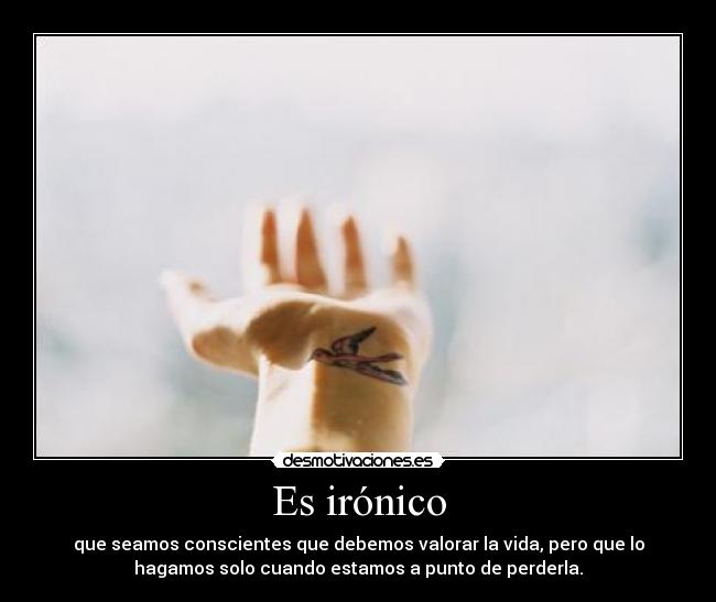 carteles muchos les tiempo hacerlo valora quieromicarro desmotivaciones