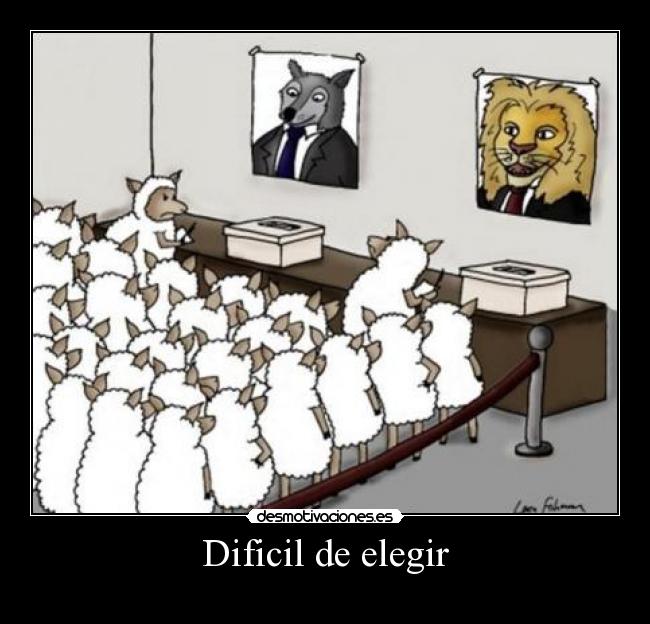 Dificil de elegir -
