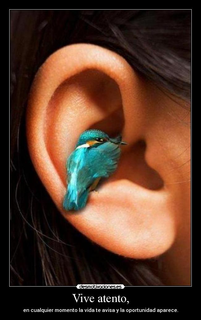 carteles eatnacion desmotivaciones