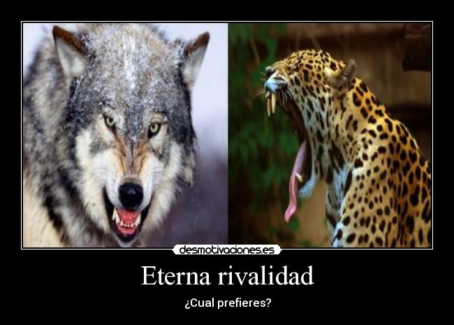 Eterna rivalidad -