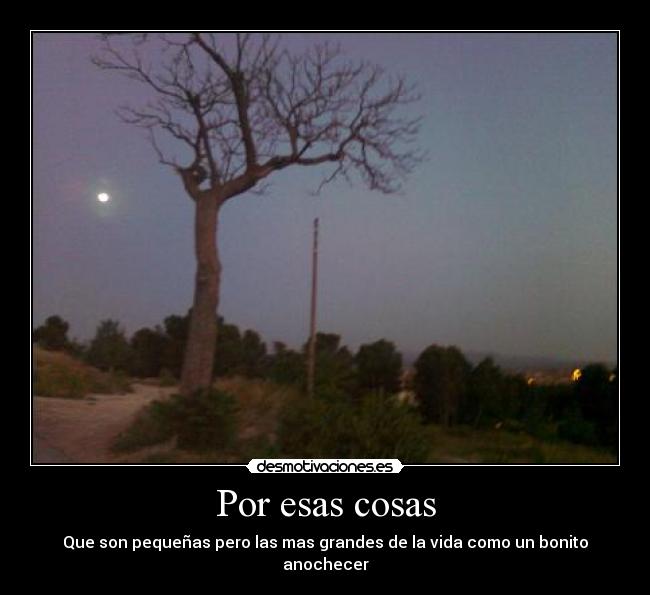 Por esas cosas - Que son pequeñas pero las mas grandes de la vida como un bonito anochecer