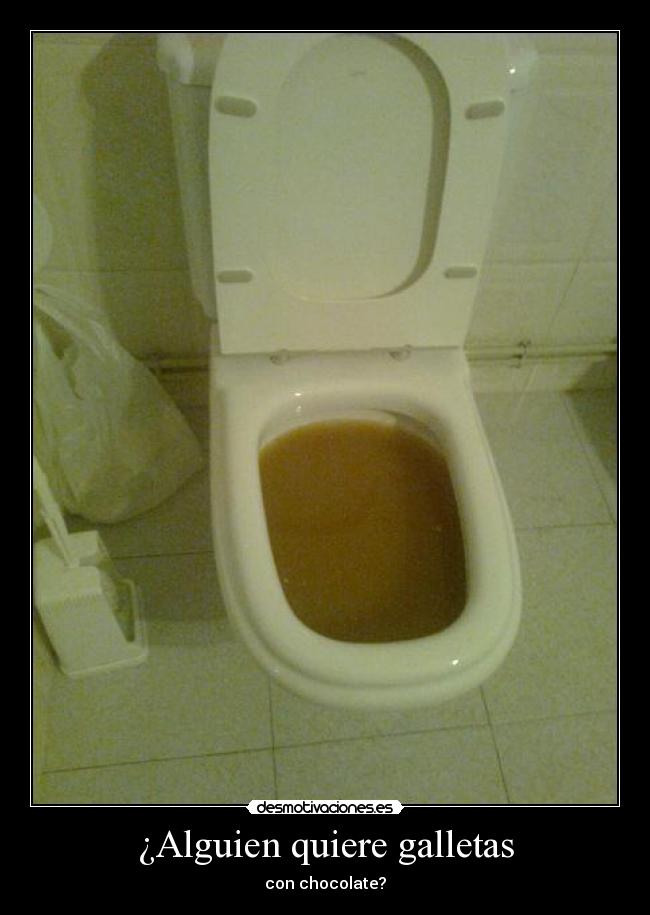 ¿Alguien quiere galletas - con chocolate?
