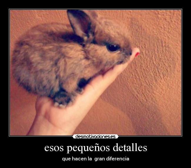 esos pequeños detalles - 