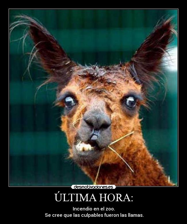 ÚLTIMA HORA: - Incendio en el zoo.
Se cree que las culpables fueron las llamas.