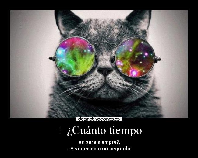 + ¿Cuánto tiempo - 