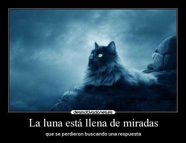 La luna está llena de miradas - que se perdieron buscando una respuesta