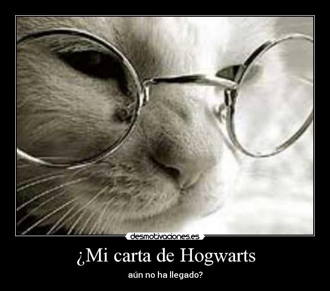 ¿Mi carta de Hogwarts -