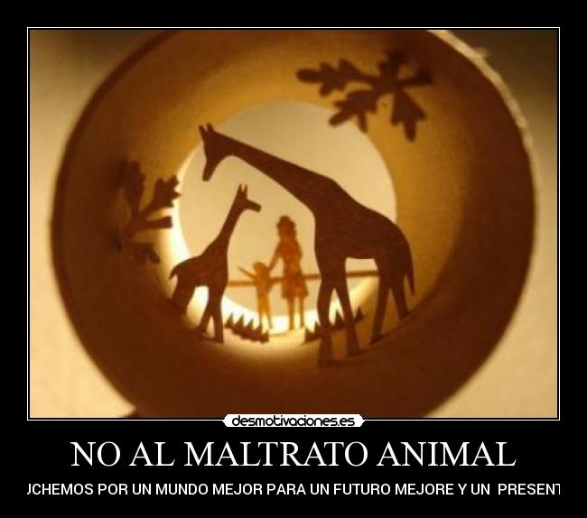 NO AL MALTRATO ANIMAL -