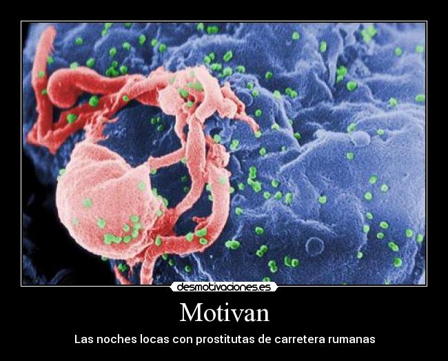 Motivan - Las noches locas con prostitutas de carretera rumanas