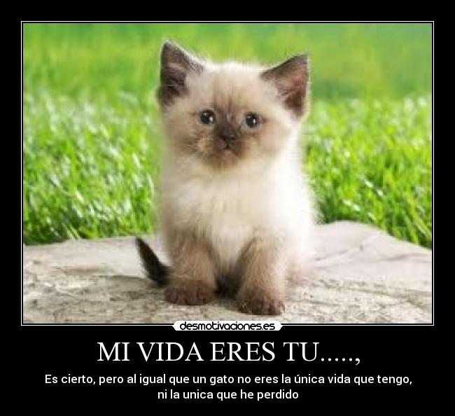 carteles vida krizztian desmotivaciones