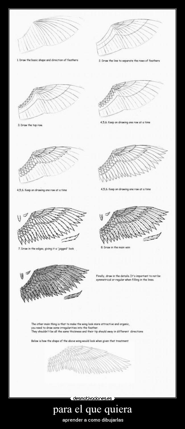 para el que quiera - aprender a como dibujarlas