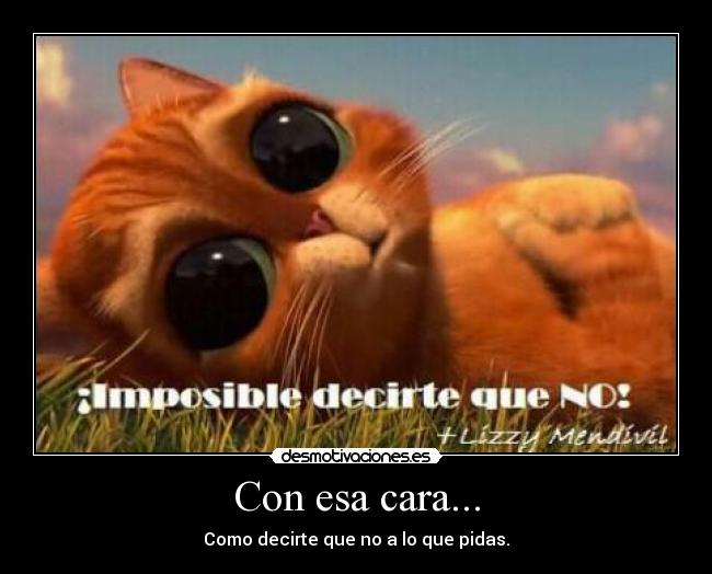 Con esa cara... - Como decirte que no a lo que pidas.