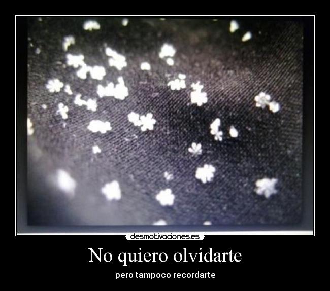 carteles olvidar desmotivaciones