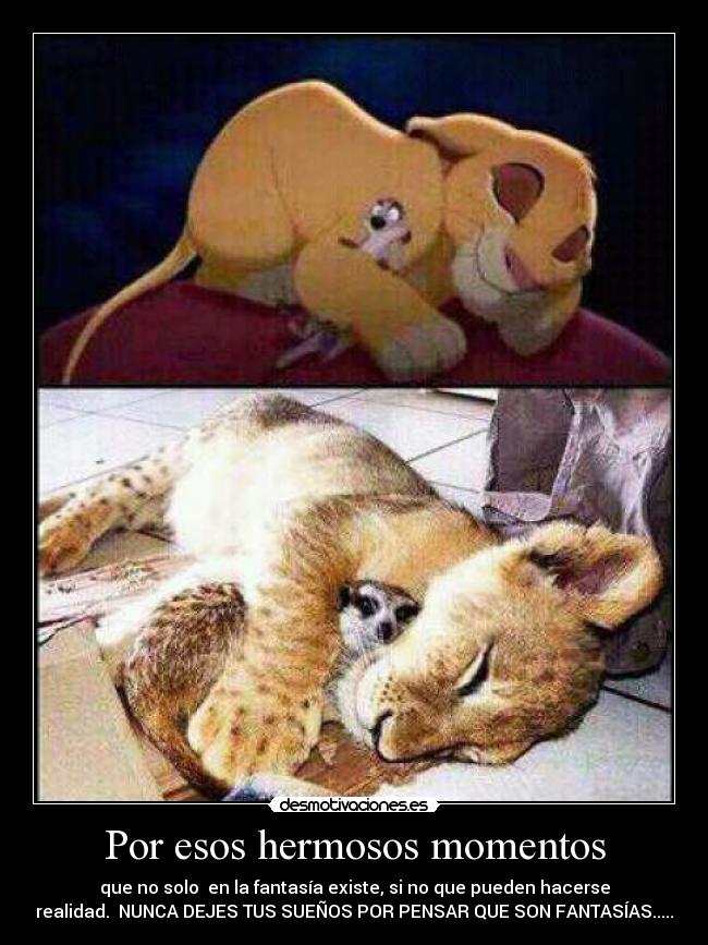 Por esos hermosos momentos - que no solo  en la fantasía existe, si no que pueden hacerse
realidad.  NUNCA DEJES TUS SUEÑOS POR PENSAR QUE SON FANTASÍAS.....