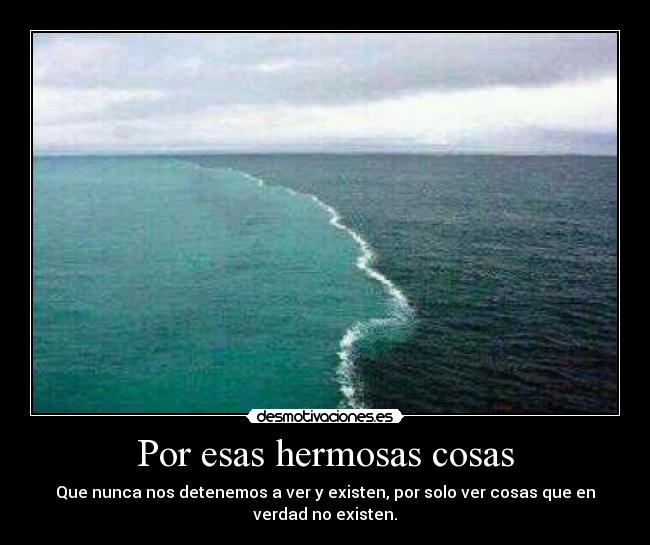 Por esas hermosas cosas - 