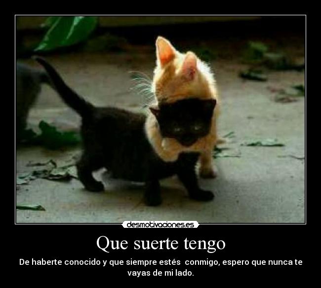 Que suerte tengo - De haberte conocido y que siempre estés  conmigo, espero que nunca te
vayas de mi lado.