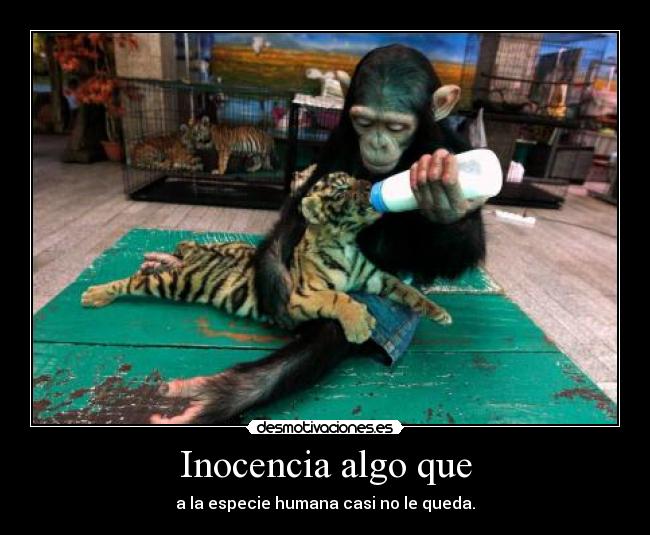 Inocencia algo que - 