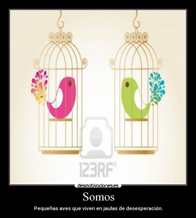 Somos -
