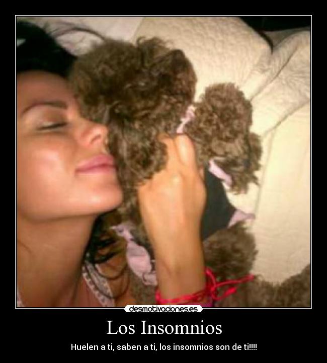 Los Insomnios - 