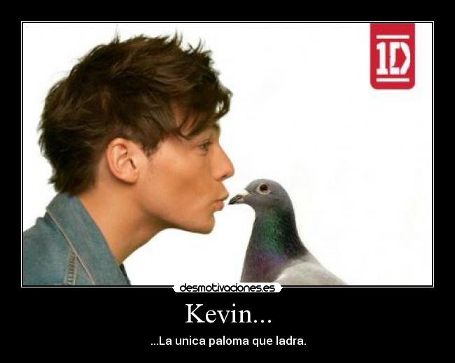 Kevin... - 