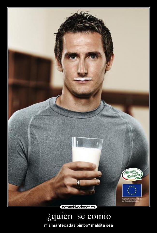 ¿quien se comio - mis mantecadas bimbo? maldita sea