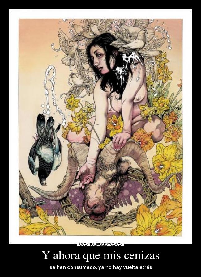 Y ahora que mis cenizas - se han consumado, ya no hay vuelta atrás