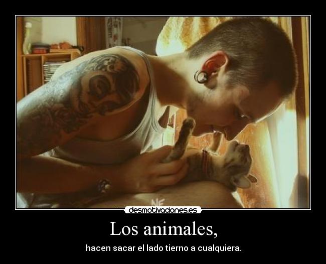 Los animales, - hacen sacar el lado tierno a cualquiera.