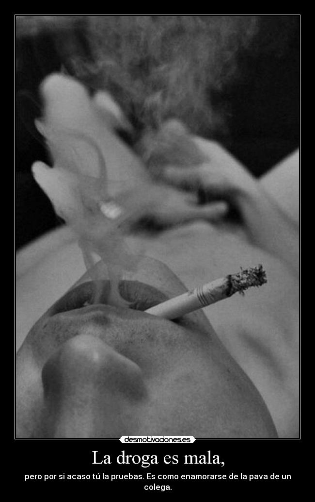 La droga es mala, - pero por si acaso tú la pruebas. Es como enamorarse de la pava de un colega.