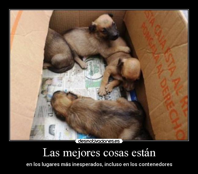 carteles pos vaya que desmotivaciones