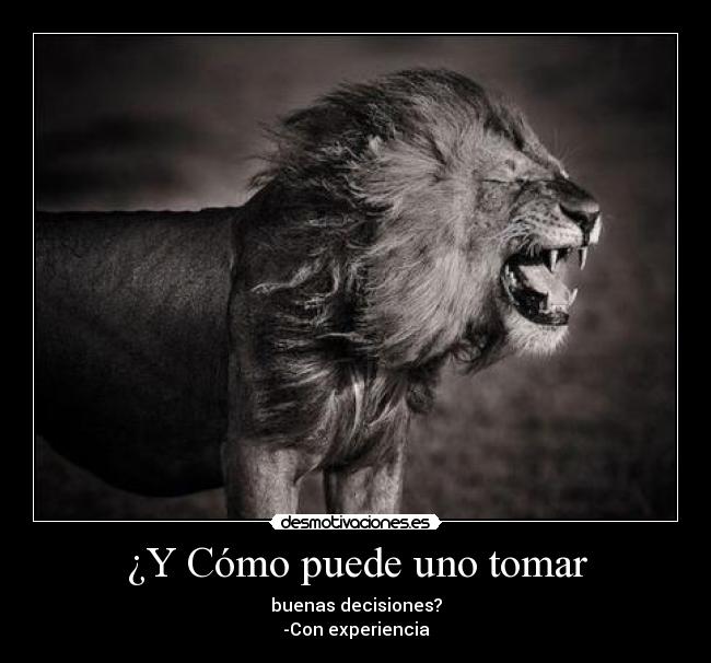¿Y Cómo puede uno tomar - buenas decisiones?
-Con experiencia