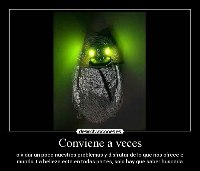 Conviene a veces - olvidar un poco nuestros problemas y disfrutar de lo que nos ofrece el
mundo. La belleza está en todas partes, solo hay que saber buscarla.