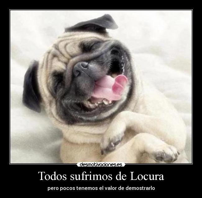 Todos sufrimos de Locura - pero pocos tenemos el valor de demostrarlo