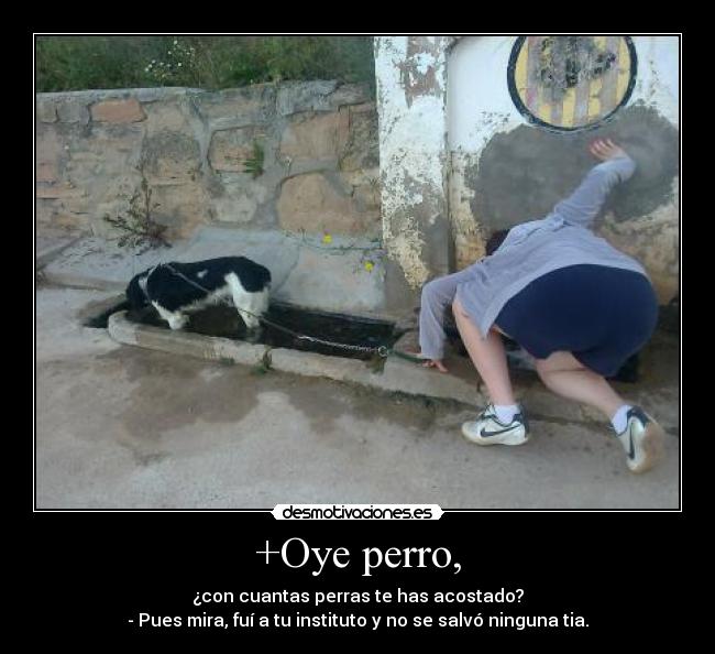 +Oye perro, - ¿con cuantas perras te has acostado?
- Pues mira, fuí a tu instituto y no se salvó ninguna tia.