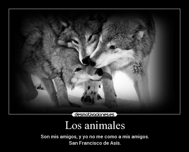 Los animales -