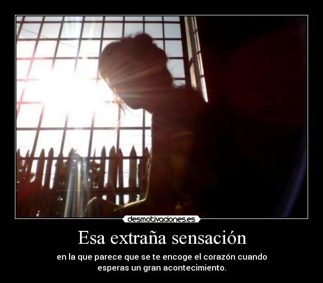 carteles ella princesa que roba sueno duena corazon ella mundo maria munoz desmotivaciones