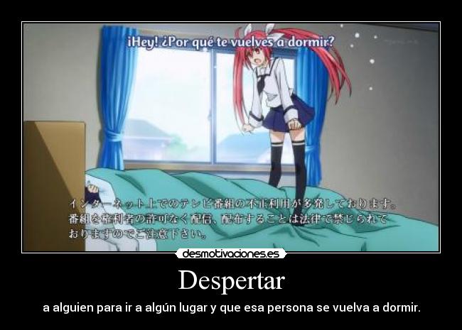 Despertar - 