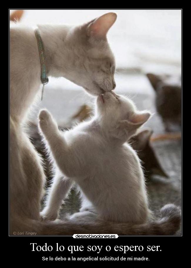 Todo lo que soy o espero ser. - Se lo debo a la angelical solicitud de mi madre.