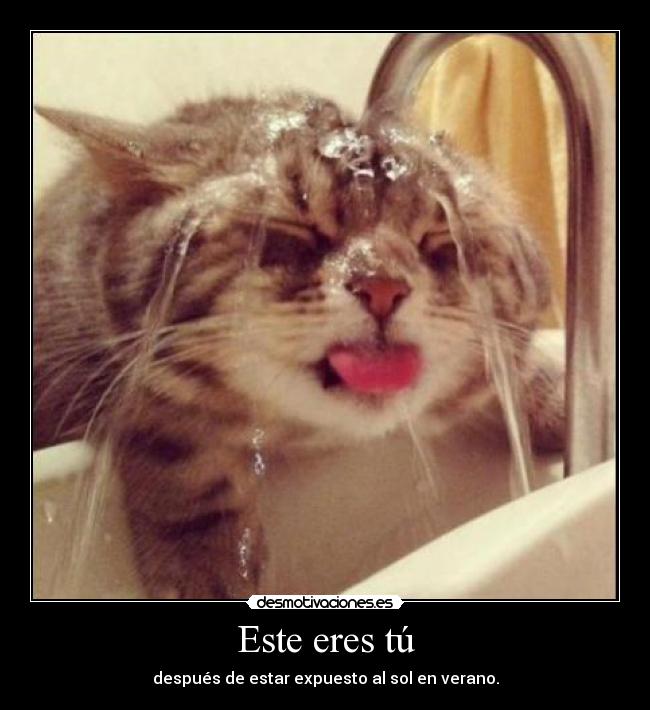 carteles ella princesa que roba sueno duena corazon ella mundo maria munoz desmotivaciones