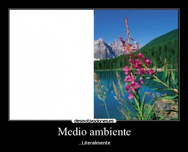 Medio ambiente - ...Literalmente