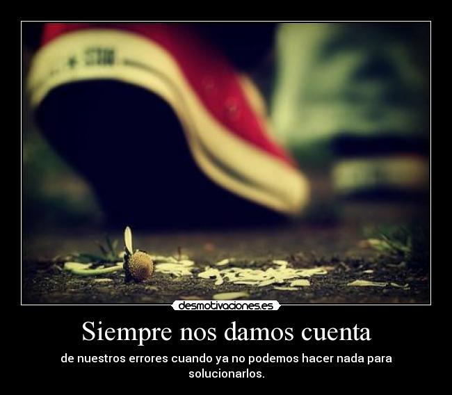 Siempre nos damos cuenta - de nuestros errores cuando ya no podemos hacer nada para solucionarlos.