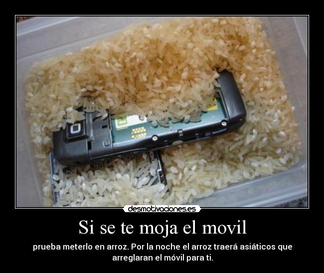 Si se te moja el movil - prueba meterlo en arroz. Por la noche el arroz traerá asiáticos que
arreglaran el móvil para ti.