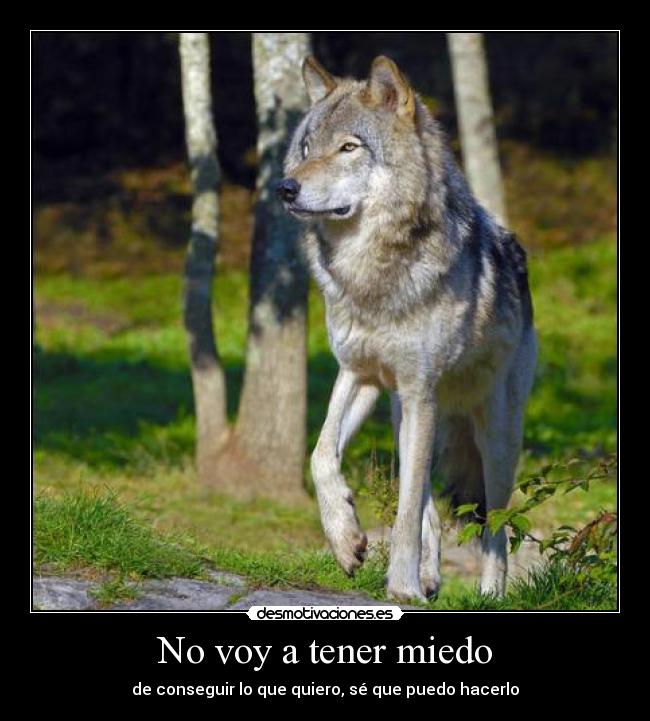 No voy a tener miedo - 