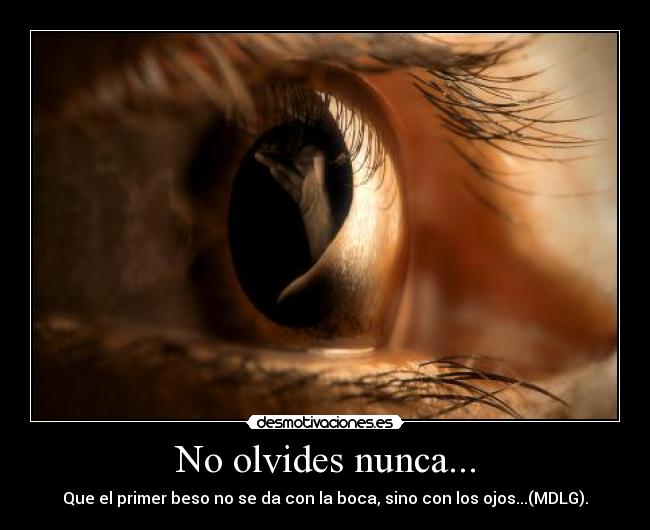 No olvides nunca... - 
