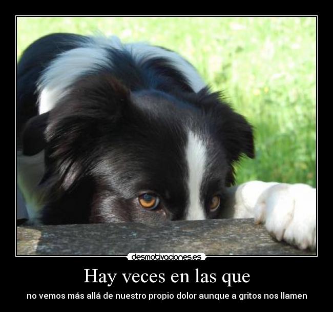 Hay veces en las que - 