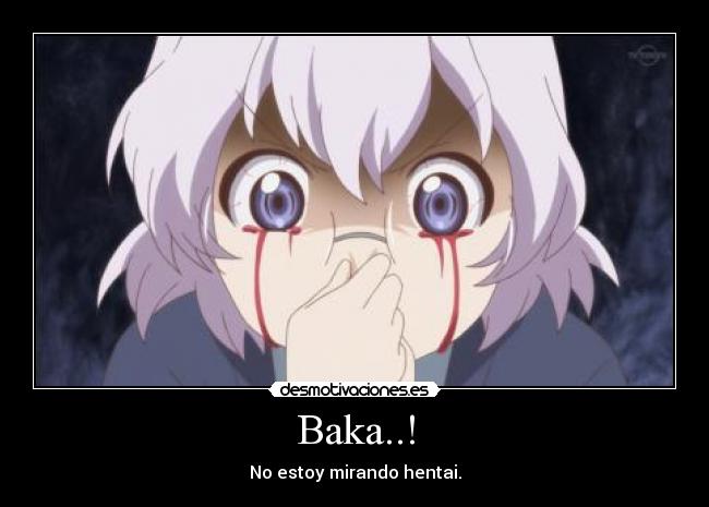 Baka..! - No estoy mirando hentai.
