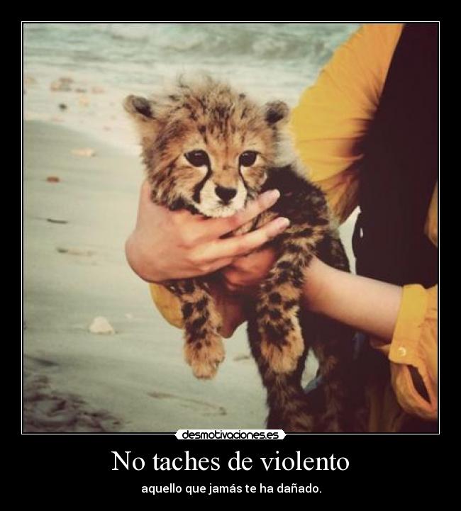 No taches de violento - aquello que jamás te ha dañado.
