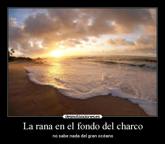 La rana en el fondo del charco -