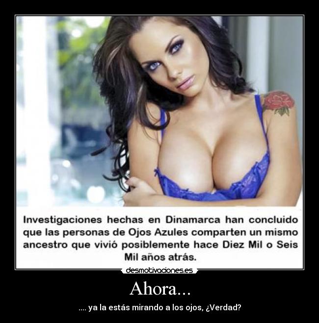 carteles investigacion genetica descendencia dinamarca desmotivaciones