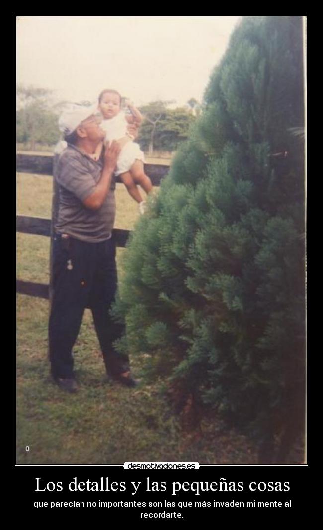 Los detalles y las pequeñas cosas - que parecían no importantes son las que más invaden mi mente al recordarte.